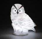 Veilleuse hibou blanc