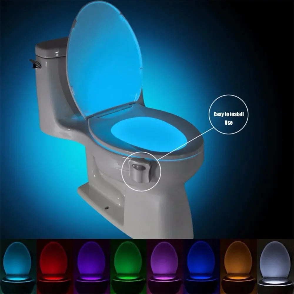 Veilleuse toilette
