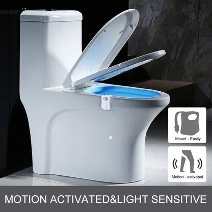 Veilleuse toilette détecteur de mouvement 
